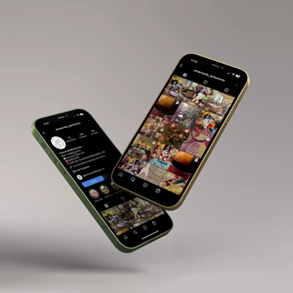 Créer et optimiser le média social