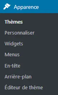 Le sous-menu apparence de wordpress