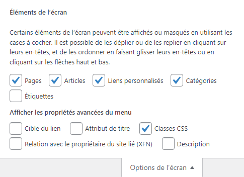 Les possibilités d'affichage optionnels de wordpress