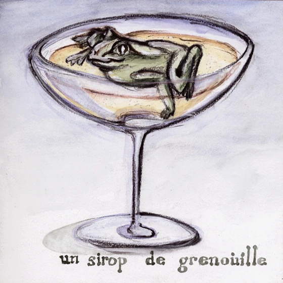 Illustration grenouille logo krisken